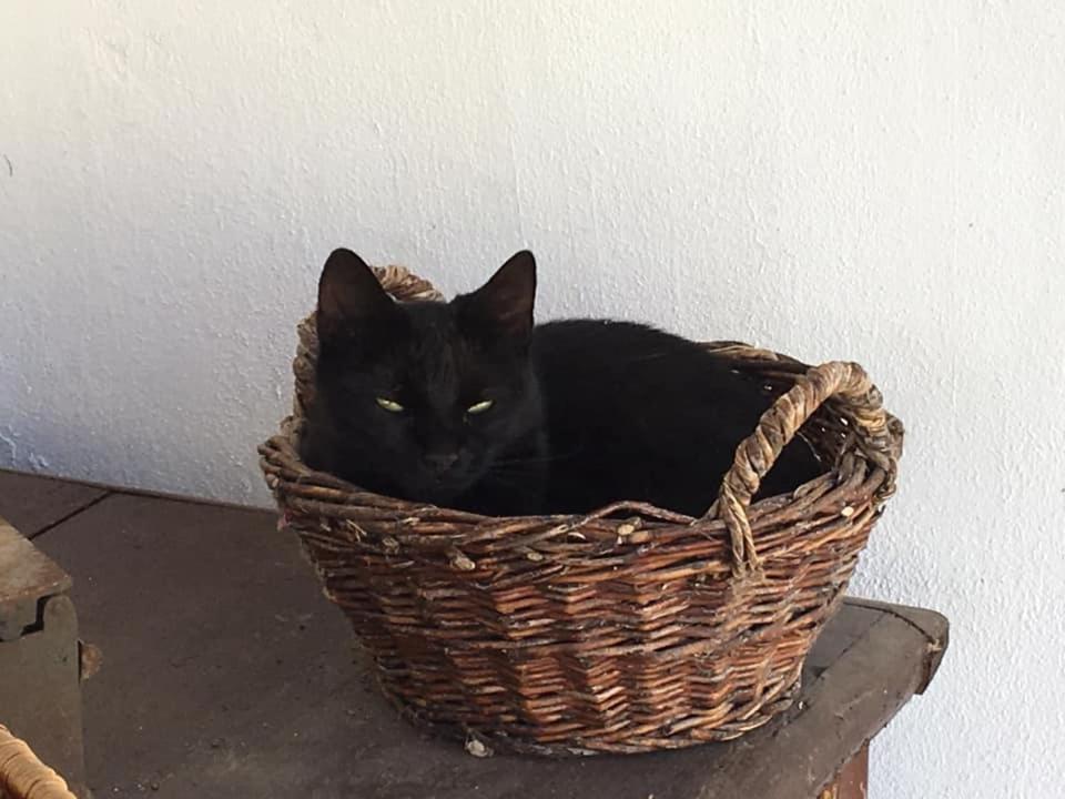 ONCSA Vendégház Gyöngyös Esterno foto
