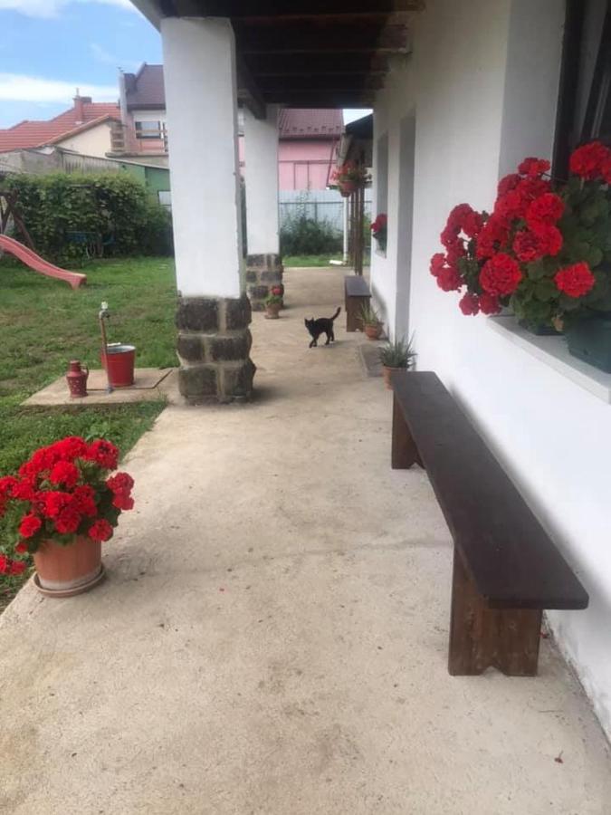 ONCSA Vendégház Gyöngyös Esterno foto